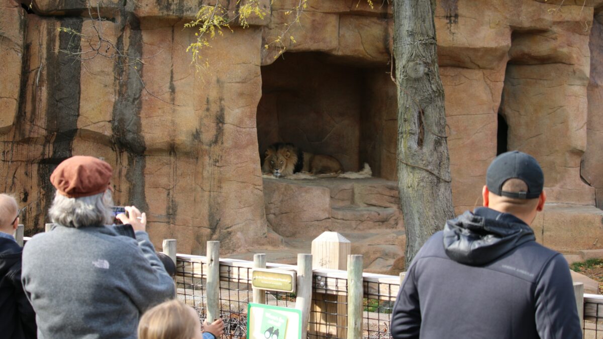 POUR OU CONTRE L’INTERDICTION DES ZOOS ?