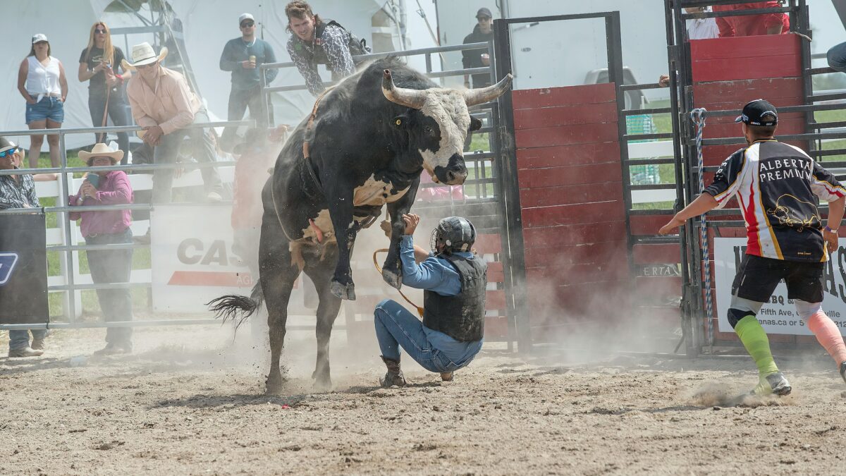 POUR OU CONTE L’INTERDICTION DE LA CORRIDA ?