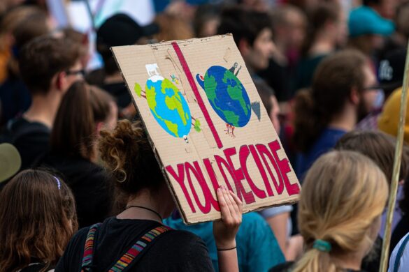 demonstration, fridays for future, climate change-4891275.jpg